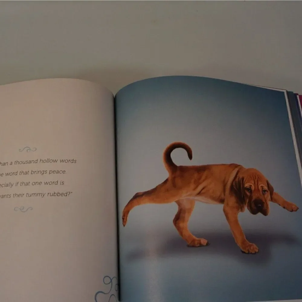 Yoga Dogs By Dan Borris 2011 Paper Back Dog Photography